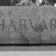 Illustration for article titled Harvard May Have A New Racist Blogger In Their Midst
